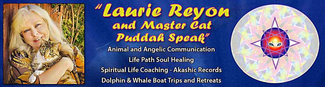 Laurie-Reyon-Web-Banner-2015-3-C