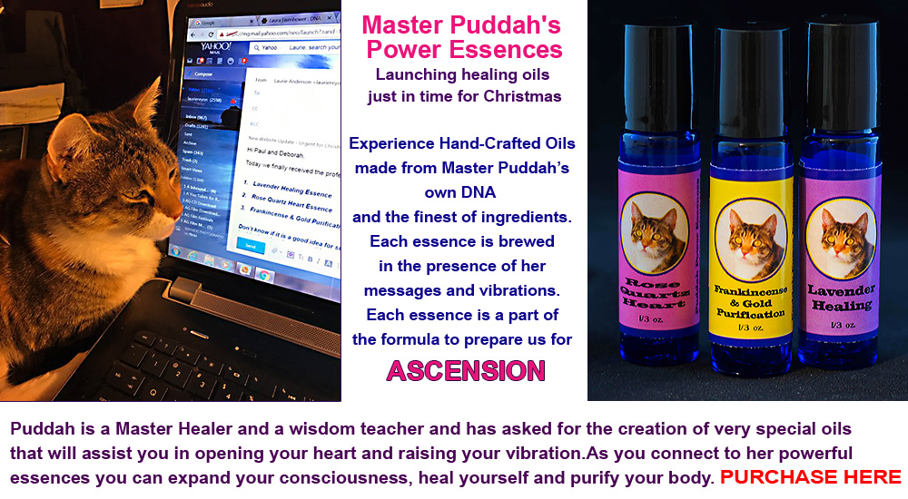 Puddah's-Essence-Oils-Banner-FLAT-C