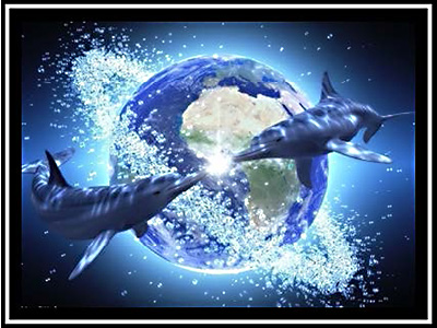 WHALE-&-DOLPHIN-ENERGY-SCHOOL-C