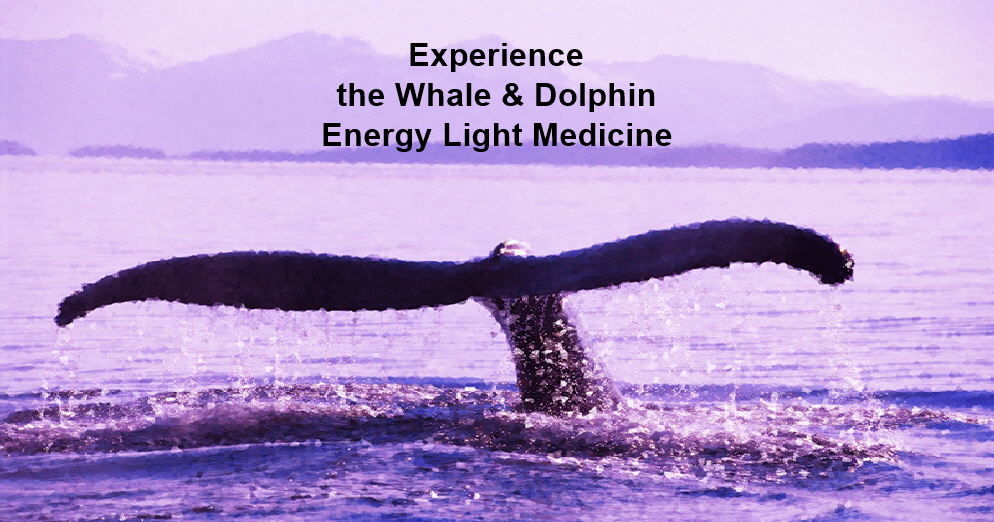 Whale-Tail-Healing-Page-C
